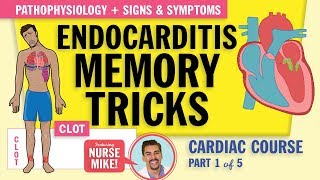 Endocarditis Pathophysiology signs and symptoms for nursing students NCLEX review [upl. by Halilahk]