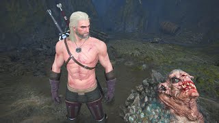 This troll was hiding a secret in a cave  The Witcher 3 [upl. by Nomled]