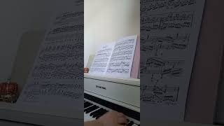 passacaglia page 2 Handel [upl. by Laerol]