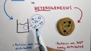 14 Homogeneous vs Heterogeneous [upl. by Paddy147]