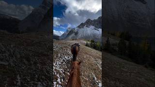 Wilderness Escape Riding to the Heart of Nature  Horse riding adventure  Wilderness exploration [upl. by Divd272]