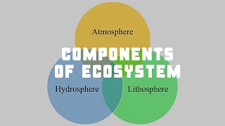 001 Components of Ecosystem [upl. by Enyamrahc]