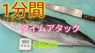 魚の捌き方天然ぶり1分間タイムアタック [upl. by Nylesoy614]