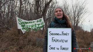 Save Fairview Forest [upl. by Ellinad833]