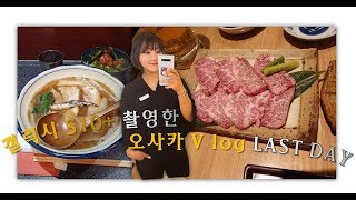 개나리TV 오사카여행 마지막 영상갤럭시S10 촬영한 영상입니다VlogThis is the last video of the trip to OsakaGalaxy S10 [upl. by Jemy]