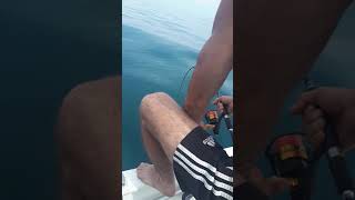 Peche en bateau frontignan avec Thomas et flofish [upl. by Sibyls742]