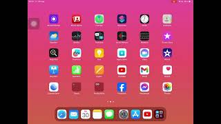 How to fix cookie’s settings on any iPhoneiPad [upl. by Oiceladni]