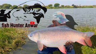 Flout Fishing Tips And Tricks  River Flout Fishing Videos  Any River Fishing Techniques [upl. by Trelu39]