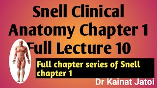 Snell Clinical Anatomy Chapter 1 Lecture 10 [upl. by Susanna]