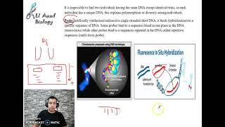 Chapter 4 Activity 4 Detection of genetic polymorphism part 2 Grade11science [upl. by Schaper248]