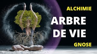 L’Arbre de Vie  ΣΩΦΑ [upl. by Wolfgang]