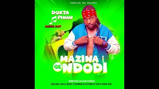 Mazina Ge Ndodi by Dokta Pinan Official Audio [upl. by Arimak]