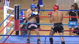 WKU World Championships Heraklion Crete 2013 Finals Kickboxing Adults male 90kg [upl. by Hardin]