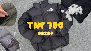 Пуховик The North Face 700 обзор 2024 [upl. by Atterahs]