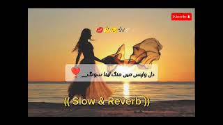 Dil Wapas Mein Mang lena  Slowed amp Reverb  Saraiki song  viral views slowedandreverb [upl. by Alicsirp995]