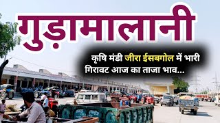 गुड़ामालानी कृषि मंडी जीरा ईसबगोल में भारी गिरावट और आज मेरी विशेष अपील [upl. by Dibru688]