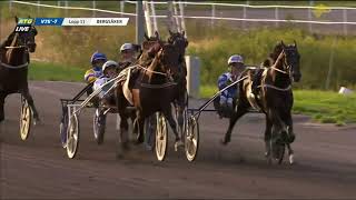 FRANCESCO ZET 1094 2140 SUNDSVALL OPEN TROT 2024 [upl. by Laeira]