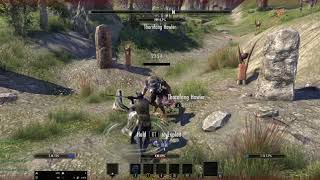 Elder Scrolls Online Necromancer gameplay [upl. by Nanreit]