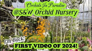 I’m Back First Video of the year at SampW Orchid Nursery [upl. by Bicknell]