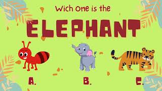 Lets Play in EnglishThe ANIMALS for kids 🐴 🐢🐜🐘🐞 [upl. by Atelokin344]