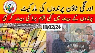 Birds ke rate me kami 😢  sunday orangi town birds market 2024 latest update [upl. by Trainer]