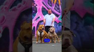 Rottweiler vs Pitbull The Ultimate Showdown 🐶💥 shorts pitbull rottweiler [upl. by Goldi]