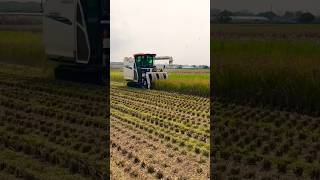 kubota DR120 combine harvester 😱😱 shorts kubota harvester [upl. by Kohl]