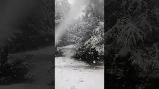 Neve sulle montagne del Marocco le immagini da Ifrane [upl. by Enneira]