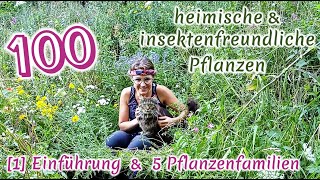 100 heimische amp insektenfreundliche Pflanzen 14 Einführung amp 5 Familien inkl BestäuberWissen [upl. by Altaf]