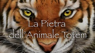 Sciamanismo La Pietra dellAnimale Totem [upl. by Alsworth]