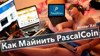 Майнинг видеокартой PascalCoin на Пуле nanopool Как подключиться [upl. by Assirual338]