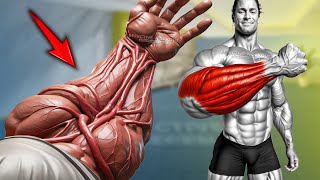 5 Best Exercise to get Forearm Veins Fast [upl. by Ahsiken]