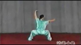 Wu Bu Quan 五步拳 [upl. by Moscow]