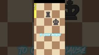 Gotham chess edit  Stockfish vs Mittens Credits to gothamchess gothamchess chessopenings [upl. by Eelanej]