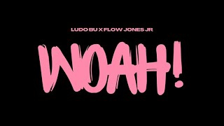 Ludo BU  Woah Ft Flow Jones Jr Official Music Video [upl. by Eenaej]