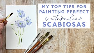 My Top Tips For Painting Perfect Watercolour Scabiosas [upl. by Harleigh]