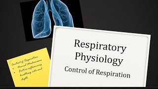 Control Respiration [upl. by Sileas81]