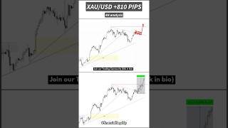 XAUUSD ➡️ 810 pips before and after shorts [upl. by Nnaecyoj]