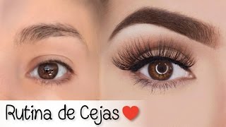 CEJAS PERFECTAS PASO A PASO Fácil para principiantes [upl. by Torrie544]