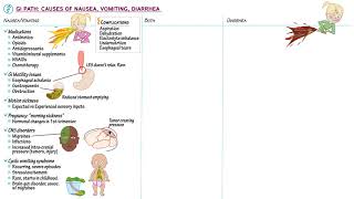 GI Pathology Nausea Vomiting amp Diarrhea [upl. by Sheridan]