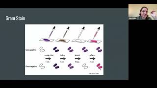 ISVMA MasterclassClinical Pathology4624 [upl. by Jordanson]