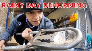 DEHORNING CALVES 2021  VLOG 15 Dehorning in the rain [upl. by Enael]