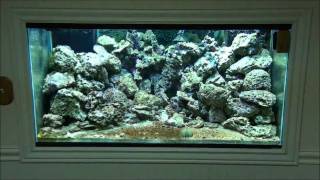 DIY LED Reef Aquarium Light  Part 3 [upl. by Laohcin]