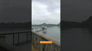 Macritchie reservoir Singapore [upl. by Low815]