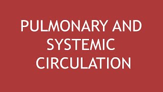 Pulmonary and Systemic Circulation  Dr Shikha Parmar [upl. by Spatz]