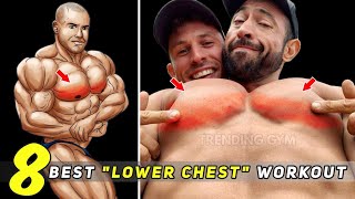 Lower Chest Workout  8 Best Chest Exercises [upl. by Nyrat404]