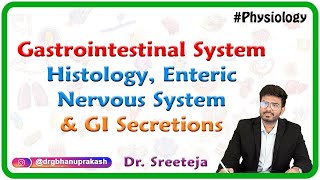 Gastrointestinal System Histology Enteric nervous system amp GI Secretions  Physiology USMLE step 1 [upl. by Nemlaz274]