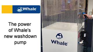 The New Whale Washdown Pump at METSTRADE 2018 [upl. by Narej784]