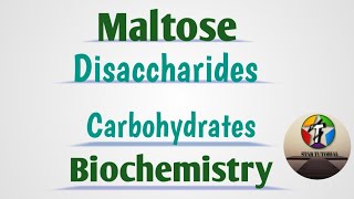 Maltose ll Disaccharides ll Carbohydrates ll Biochemistry [upl. by Kevan631]