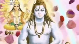 Shiva Lingam Video Amarnath Jyothir Lingam Maha Shivaratri 2013 [upl. by Akirdnas]